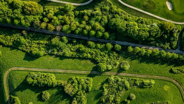Aerial view of a lush green golf course